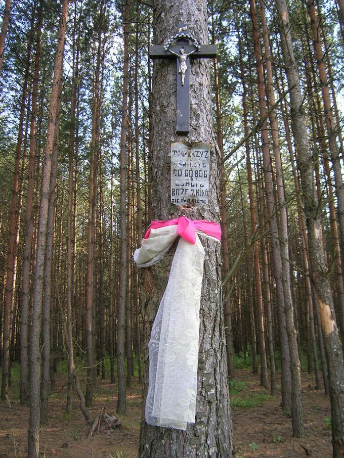 Krzyż i tabliczka umieszczone na Trupim Polu przez osobę ocalałą z egzekucji. Napis na tabliczce: „Ten krzyż zawiesił, co go Bóg ocalił. Boże zmiłuj się nad nami”