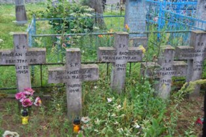 Cmentarz w Wikszanianach